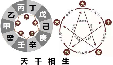 乙木日主|十天干命主白話解說